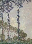 Claude Monet WInd Effect,Sequence of Poplars oil painting reproduction
